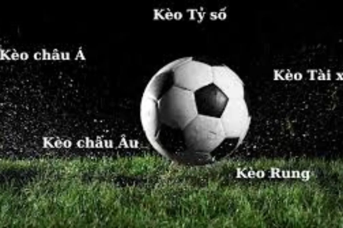 cách đọc tên các kèo trong soi kèo bóng đá nên biết